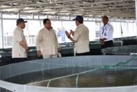 Presiden RI Prabowo Subianto meninjau tambak budidaya ikan nila salin di Balai Layanan Usaha Produksi Perikanan Budidaya Karawang (BLUPPB), Karawang, Jawa Barat. (Dok. Tim Media Prabowo)

