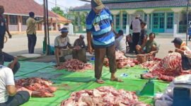 Aan Anhari penasehat panitia Qurban Dusun Kulinyar Desa Kudangwangi Kecamatan Ujungjaya sedang mengurus pembagian daging kurban ( Abdul Haris)