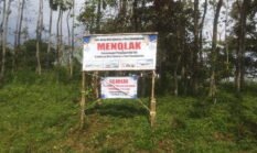 berita-pilihan-foto
