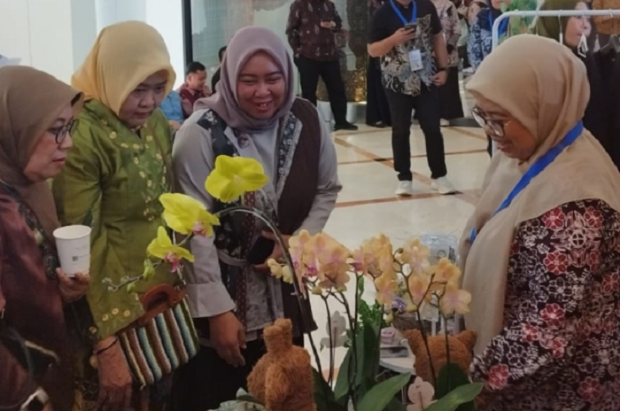 UMKM Priangan Timur kini bisa tampil di Galeri Foto Hallo Tasik tanpa biaya promosi. (Instagram.com @dkukmpciamis)