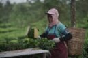 Seorang kader kesehatan sedang berinteraksi dengan warga di sebuah posyandu di Jawa Barat, menunjukkan pendekatan personal dalam program-program kesehatan masyarakat. Inovasi digital dan pemberdayaan komunitas menjadi kunci kemajuan sektor kesehatan di wilayah ini.