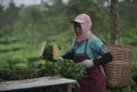 Seorang kader kesehatan sedang berinteraksi dengan warga di sebuah posyandu di Jawa Barat, menunjukkan pendekatan personal dalam program-program kesehatan masyarakat. Inovasi digital dan pemberdayaan komunitas menjadi kunci kemajuan sektor kesehatan di wilayah ini.