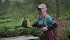 Seorang kader kesehatan sedang berinteraksi dengan warga di sebuah posyandu di Jawa Barat, menunjukkan pendekatan personal dalam program-program kesehatan masyarakat. Inovasi digital dan pemberdayaan komunitas menjadi kunci kemajuan sektor kesehatan di wilayah ini.