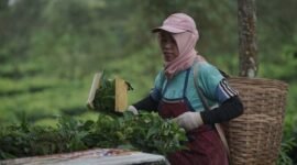 Seorang kader kesehatan sedang berinteraksi dengan warga di sebuah posyandu di Jawa Barat, menunjukkan pendekatan personal dalam program-program kesehatan masyarakat. Inovasi digital dan pemberdayaan komunitas menjadi kunci kemajuan sektor kesehatan di wilayah ini.