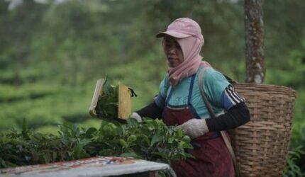 Jawa Barat Melangkah Maju: Inovasi Kesehatan Masyarakat Menuju Masa Depan Sehat