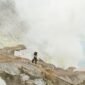 Pemandangan Kawah Putih yang ikonik dengan danau belerang berwarna pirus kehijauan dan pepohonan gersang di sekitarnya, menciptakan lanskap surealis yang menawan hati setiap pengunjung. Udara sejuk pegunungan menambah kesan magis di salah satu destinasi wisata terpopuler di Bandung Selatan ini.