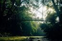 Pemandangan Sungai Citarum yang kini tampak jernih dengan pepohonan hijau di tepian, menunjukkan hasil nyata upaya revitalisasi setelah bertahun-tahun. Perubahan ini membuka peluang baru bagi ekowisata dan kehidupan masyarakat.