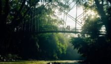 Pemandangan Sungai Citarum yang kini tampak jernih dengan pepohonan hijau di tepian, menunjukkan hasil nyata upaya revitalisasi setelah bertahun-tahun. Perubahan ini membuka peluang baru bagi ekowisata dan kehidupan masyarakat.