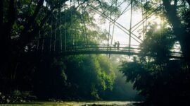 Pemandangan Sungai Citarum yang kini tampak jernih dengan pepohonan hijau di tepian, menunjukkan hasil nyata upaya revitalisasi setelah bertahun-tahun. Perubahan ini membuka peluang baru bagi ekowisata dan kehidupan masyarakat.
