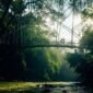 Pemandangan Sungai Citarum yang kini tampak jernih dengan pepohonan hijau di tepian, menunjukkan hasil nyata upaya revitalisasi setelah bertahun-tahun. Perubahan ini membuka peluang baru bagi ekowisata dan kehidupan masyarakat.