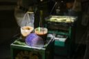 Surabi, jajanan khas Bandung yang telah berevolusi dari sajian tradisional dengan kinca manis menjadi beragam varian modern dengan topping kekinian, tetap menjadi daya tarik utama kuliner Indonesia. Kudapan ini menawarkan perpaduan tekstur lembut dan renyah dengan rasa yang memanjakan lidah, cocok dinikmati di berbagai suasana.