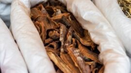 Seorang ibu tua dari suku Sunda dengan terampil sedang meracik jamu tradisional dari berbagai rempah dan daun-daunan segar yang baru dipetik dari kebun, menunjukkan kearifan lokal dalam menjaga kesehatan.