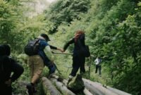 Pemandangan Hutan Lindung Ciremai yang hijau dan asri, menunjukkan kerapatan vegetasi pegunungan tropis yang menjadi habitat penting bagi berbagai satwa liar endemik. Keindahan alam ini merupakan aset berharga yang harus terus dijaga kelestariannya.