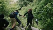 Pemandangan Hutan Lindung Ciremai yang hijau dan asri, menunjukkan kerapatan vegetasi pegunungan tropis yang menjadi habitat penting bagi berbagai satwa liar endemik. Keindahan alam ini merupakan aset berharga yang harus terus dijaga kelestariannya.