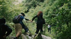Pemandangan Hutan Lindung Ciremai yang hijau dan asri, menunjukkan kerapatan vegetasi pegunungan tropis yang menjadi habitat penting bagi berbagai satwa liar endemik. Keindahan alam ini merupakan aset berharga yang harus terus dijaga kelestariannya.