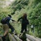 Pemandangan Hutan Lindung Ciremai yang hijau dan asri, menunjukkan kerapatan vegetasi pegunungan tropis yang menjadi habitat penting bagi berbagai satwa liar endemik. Keindahan alam ini merupakan aset berharga yang harus terus dijaga kelestariannya.