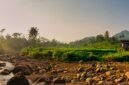 Pemandangan Sungai Citarum pada tahun 2026 yang menunjukkan air jernih dengan vegetasi hijau di tepian, mencerminkan keberhasilan upaya restorasi lingkungan yang telah dilakukan. Perahu-perahu tradisional terlihat melintas, menandakan kehidupan dan aktivitas masyarakat yang kembali pulih di sepanjang aliran sungai ini.