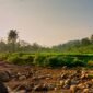 Pemandangan Sungai Citarum pada tahun 2026 yang menunjukkan air jernih dengan vegetasi hijau di tepian, mencerminkan keberhasilan upaya restorasi lingkungan yang telah dilakukan. Perahu-perahu tradisional terlihat melintas, menandakan kehidupan dan aktivitas masyarakat yang kembali pulih di sepanjang aliran sungai ini.