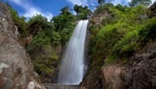 Panorama keindahan Hutan Lindung Ciremai dengan pepohonan rindang dan pegunungan yang memesona, menunjukkan kekayaan alam yang perlu terus dilestarikan. Pengunjung dapat menikmati jalur trekking yang menantang sambil mengamati keanekaragaman hayati yang unik.