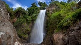Panorama keindahan Hutan Lindung Ciremai dengan pepohonan rindang dan pegunungan yang memesona, menunjukkan kekayaan alam yang perlu terus dilestarikan. Pengunjung dapat menikmati jalur trekking yang menantang sambil mengamati keanekaragaman hayati yang unik.