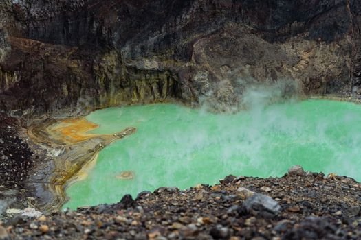 Pemandangan dramatis Kawah Putih Ciwidey dengan danau kawah berwarna kehijauan yang memukau, dikelilingi tebing-tebing putih dan diselimuti kabut tipis. Lanskap unik ini menjadi daya tarik utama bagi wisatawan yang mencari keindahan alam yang tak biasa.
