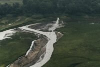 Pemandangan Sungai Citarum yang jernih dan asri pada tahun 2026, menunjukkan keberhasilan upaya restorasi ekosistem sungai. Masyarakat lokal turut berpartisipasi menjaga kebersihan tepian sungai, menikmati udara segar yang dulunya sulit ditemukan.
