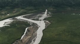 Pemandangan Sungai Citarum yang jernih dan asri pada tahun 2026, menunjukkan keberhasilan upaya restorasi ekosistem sungai. Masyarakat lokal turut berpartisipasi menjaga kebersihan tepian sungai, menikmati udara segar yang dulunya sulit ditemukan.