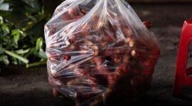 Seorang wanita tengah meracik jamu tradisional dari kunyit dan jahe, menunjukkan bagaimana warisan pengobatan leluhur Sunda masih dipraktikkan hingga kini untuk menjaga kesehatan. Ramuan alami ini merupakan bagian penting dari kearifan lokal yang kaya manfaat.