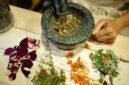 Berbagai jenis dedaunan dan rempah-rempah yang sering digunakan dalam peracikan obat tradisional Sunda, menunjukkan kekayaan alam Jawa Barat sebagai sumber pengobatan alami yang berkhasiat. Bahan-bahan ini biasanya dipetik segar dan diolah dengan resep turun-temurun untuk menjaga kesehatan tubuh secara holistik.