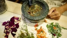 Berbagai jenis dedaunan dan rempah-rempah yang sering digunakan dalam peracikan obat tradisional Sunda, menunjukkan kekayaan alam Jawa Barat sebagai sumber pengobatan alami yang berkhasiat. Bahan-bahan ini biasanya dipetik segar dan diolah dengan resep turun-temurun untuk menjaga kesehatan tubuh secara holistik.