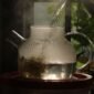 Secangkir teh hijau hangat mengepul di pagi hari, dikelilingi daun teh segar, menggambarkan kehangatan dan kesegaran yang ditawarkan minuman kaya manfaat ini.