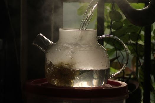 Secangkir teh hijau hangat mengepul di pagi hari, dikelilingi daun teh segar, menggambarkan kehangatan dan kesegaran yang ditawarkan minuman kaya manfaat ini.
